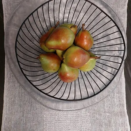 Old Pear *